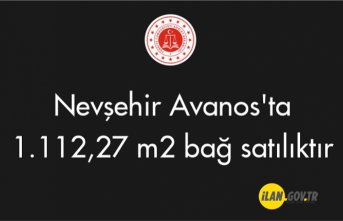 Nevşehir Avanos'ta 1.112,27 m² bağ  satılıktır