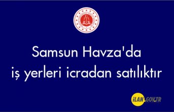 Samsun Havza'da iş yerleri icradan satılık