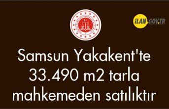Samsun Yakakent'te 33.490 m2 tarla mahkemeden satılıktır