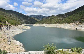 Sinop'ta baraj ve göletlere 100 bin sazan yavrusu bırakıldı