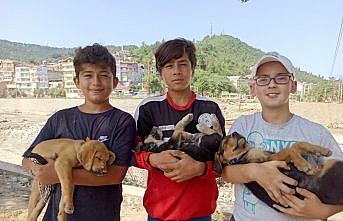 Sinop'ta selde anneleri kaybolan köpek yavrularına çocuklar sahip çıktı