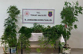 Tokat'taki uyuşturucu operasyonlarında gözaltına alınan 2 kişi tutuklandı