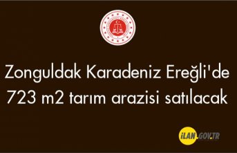 Zonguldak Karadeniz Ereğli'de 723 m² tarım arazisi satılacak