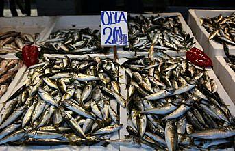 Av yasağının sona ermesiyle Trabzon'daki balık tezgahları istavritle şenlendi