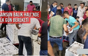 Balık Hali’nde İlk Gün Bereketi