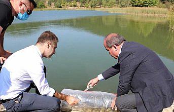 Bolu'da Şirinyazı Göleti'ne 30 bin sazan yavrusu bırakıldı
