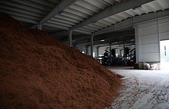 Çay çöpünden mangal kömürü üretecek fabrikada son aşamaya gelindi