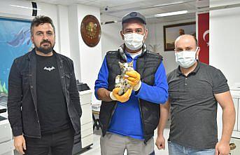 Havalandırma boşluğunda mahsur kalan kedi yavrusu kurtarıldı