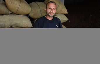 Kabuklu fındıkların içinde 