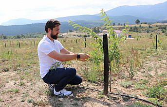 Salgın dönemini fırsata çeviren bilgisayar mühendisi tarıma yöneldi