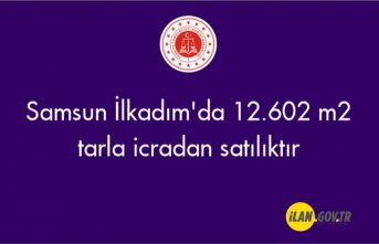 Samsun İlkadım'da 12.602 m2 tarla icradan satılıktır
