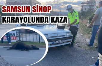 Samsun Sinop Karayolunda Kaza