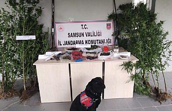 Samsun'da uyuşturucu operasyonlarında 17 şüpheli yakalandı