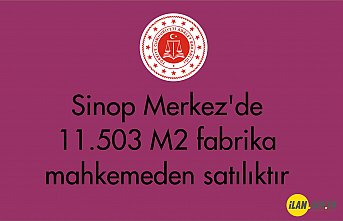 Sinop Merkez'de 11.503 m² fabrika mahkemeden satılıktır