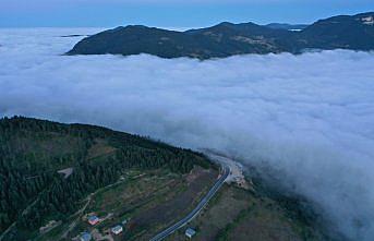 Sisle kaplanan Yaralıgöz Dağı havadan görüntülendi