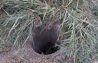 Tokat'ta rögara düşen köpeği itfaiye ekipleri kurtardı