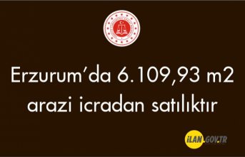 Erzurum İspir'de 6.109,93 m² arazi icradan satılıktır