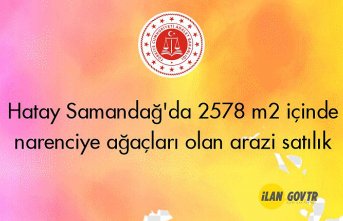 Hatay Samandağ'da 2578 m² içinde narenciye ağaçları olan arazinin 1/2 hissesi icradan satılıktır(çoklu satış