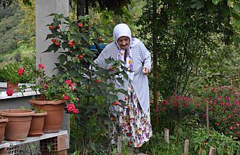 Kalp kapağı 94 yaşında değişen Zehra nine 