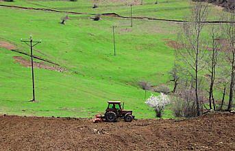 Ordu'da 10 bin dönüm atıl arazi ekonomiye kazandırıldı