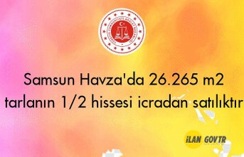 Samsun Havza'da 26.265 m² tarlanın 1/2 hissesi icradan satılıktır