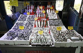 Samsun'da balık tezgahlarında canlılık yaşanıyor