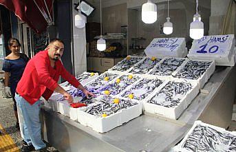 Sinop'ta hamsinin kilosu 10 liraya düştü