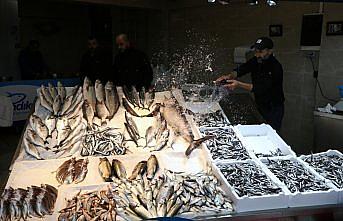 Trabzon'da olumsuz hava koşulları hamsi ve istavrit bolluğunu etkilemedi