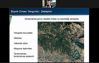 Uzman akademisyenler 