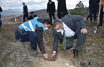 Boyabat Cumhuriyet Başsavcılığından fidan dikme etkinliği