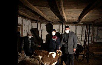 Düzce'de kayıp 14 büyükbaş hayvan jandarma tarafından bulundu