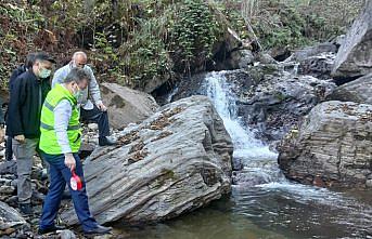 Giresun'da selde zarar gören alabalık popülasyonu için derelere 25 bin yavru salındı