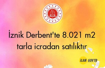 İznik Derbent'te 8.021 m² tarla icradan satılıktır