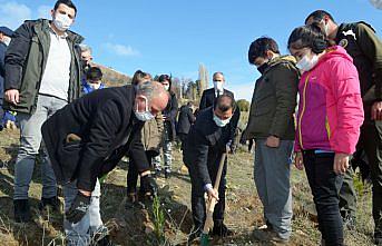 Karadeniz Bölgesi'nde binlerce fidan toprakla buluşturuldu