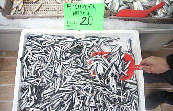 Karadeniz hamsisi tezgahlarda yüzleri güldürüyor