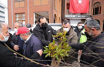 Kastamonu'da fidanlar toprakla buluştu