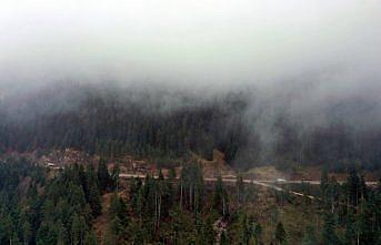 Kastamonu'da kar ve sis etkili oluyor