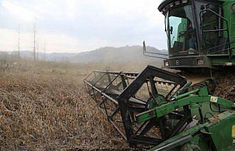 Ordu'da atıl arazi soya fasulyesi ekilerek tarıma kazandırıldı