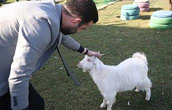 Ordu'da bakıma muhtaç hayvanlar için doğal yaşam alanı oluşturuldu