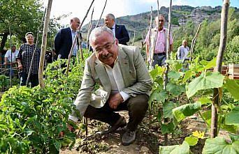 Ordu'da tarım alanındaki çalışmalar 72 milyon lira kazandırdı