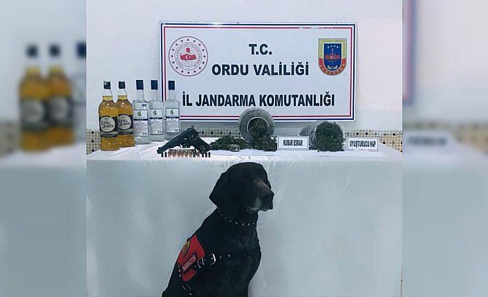 Ordu'da uyuşturucu operasyonunda 2 şüpheli yakalandı