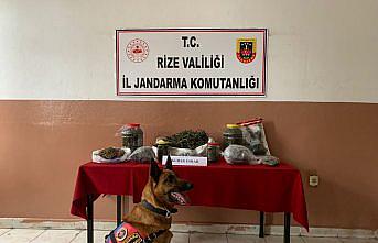 Rize'de 2 kilo 640 gram esrar ele geçirildi