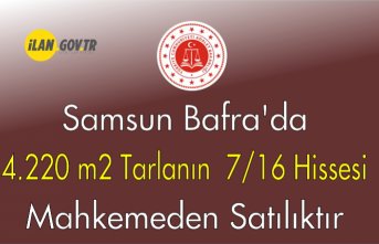 Samsun Bafra'da 4.220 m² tarlanın 7/16 hissesi mahkemeden satılıktır