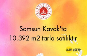 Samsun Kavak'ta 10.392 m² tarla mahkemeden satılıktır