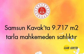 Samsun Kavak'ta 9.717 m² tarla mahkemeden satılıktır