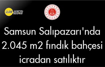 Samsun Salıpazarı'nda 2.045 m² fındık bahçesi icradan satılıktır