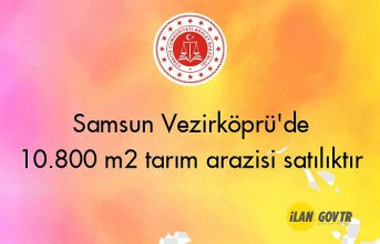 Samsun Vezirköprü'de 10.800 m² tarım arazisi icradan satılıktır
