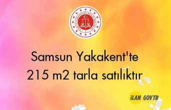 Samsun Yakakent'te 215 m² tarla mahkemeden satılıktır