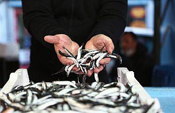 Türkiye hamsi ihracatından 2,5 ayda 3,3 milyon dolar kazandı