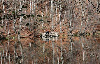 Yedigöller'de sonbahar yoğunluğu